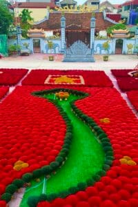 Vibrant red incense bundles drying under the sun at Quang Phu Cau incense village.