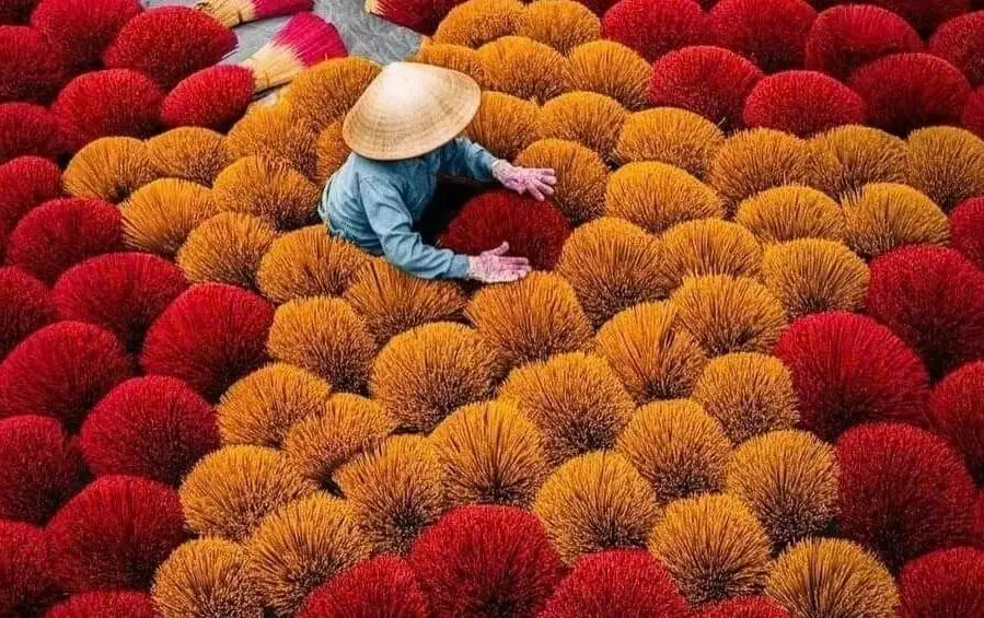 Panoramic view of the "red blooms" at Quang Phu Cau incense village tour near Hanoi.