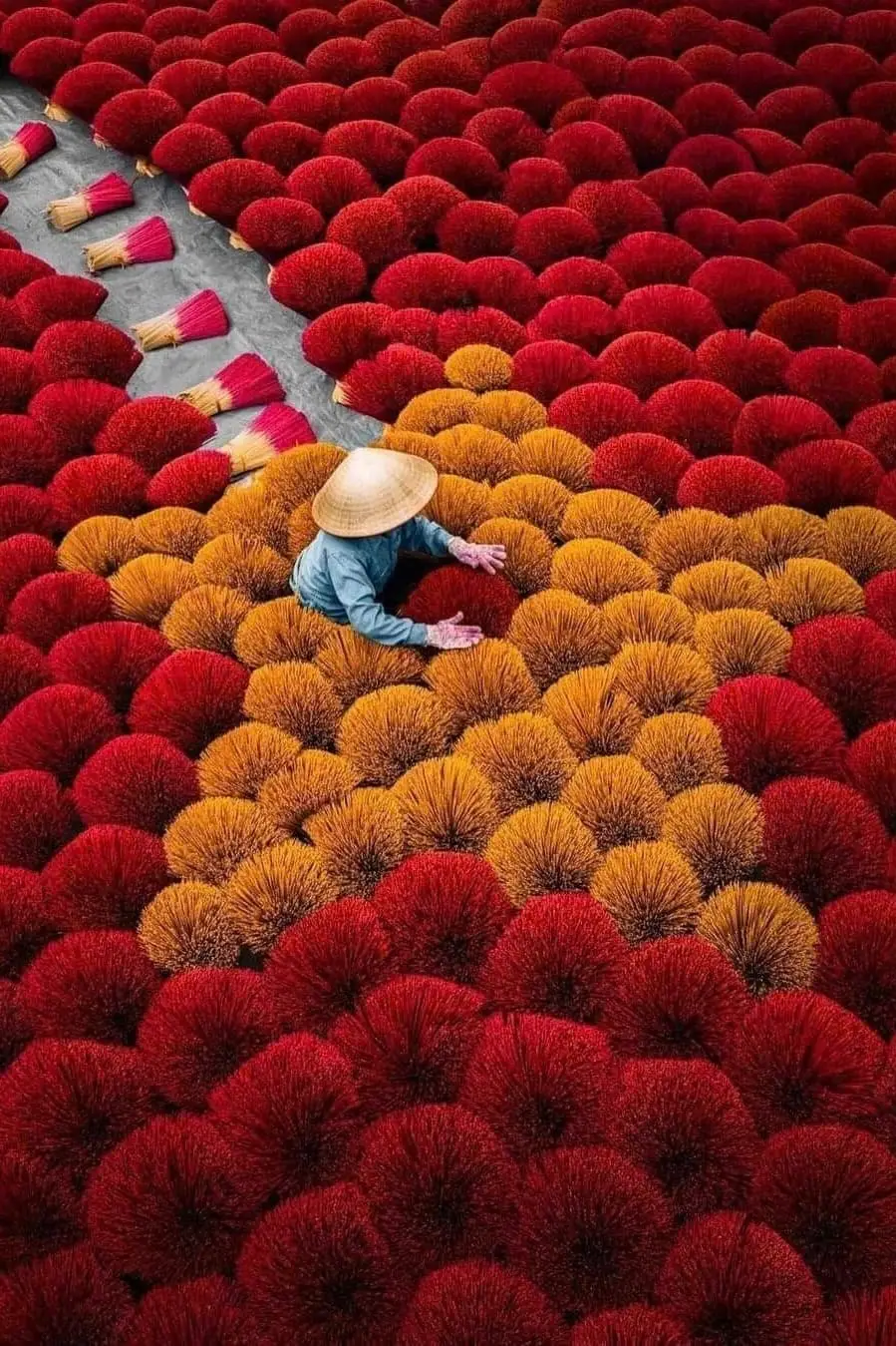 Panoramic view of the "red blooms" at Quang Phu Cau incense village tour near Hanoi.