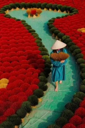Traditional pink and red incense sticks splayed out at Quang Phu Cau village.