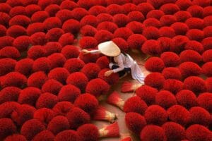 A Vietnamese woman in a traditional Ao Dai arranging vibrant red incense bundles to dry in Quang Phu Cau incense village, Hanoi.