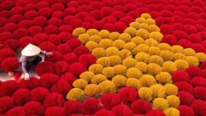 Artisans are drying bright red incense sticks in Quang Phu Cau incense village.