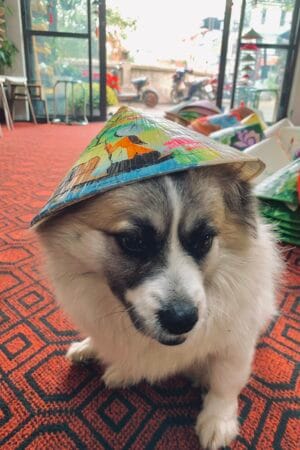 Skilled artisan of hat village